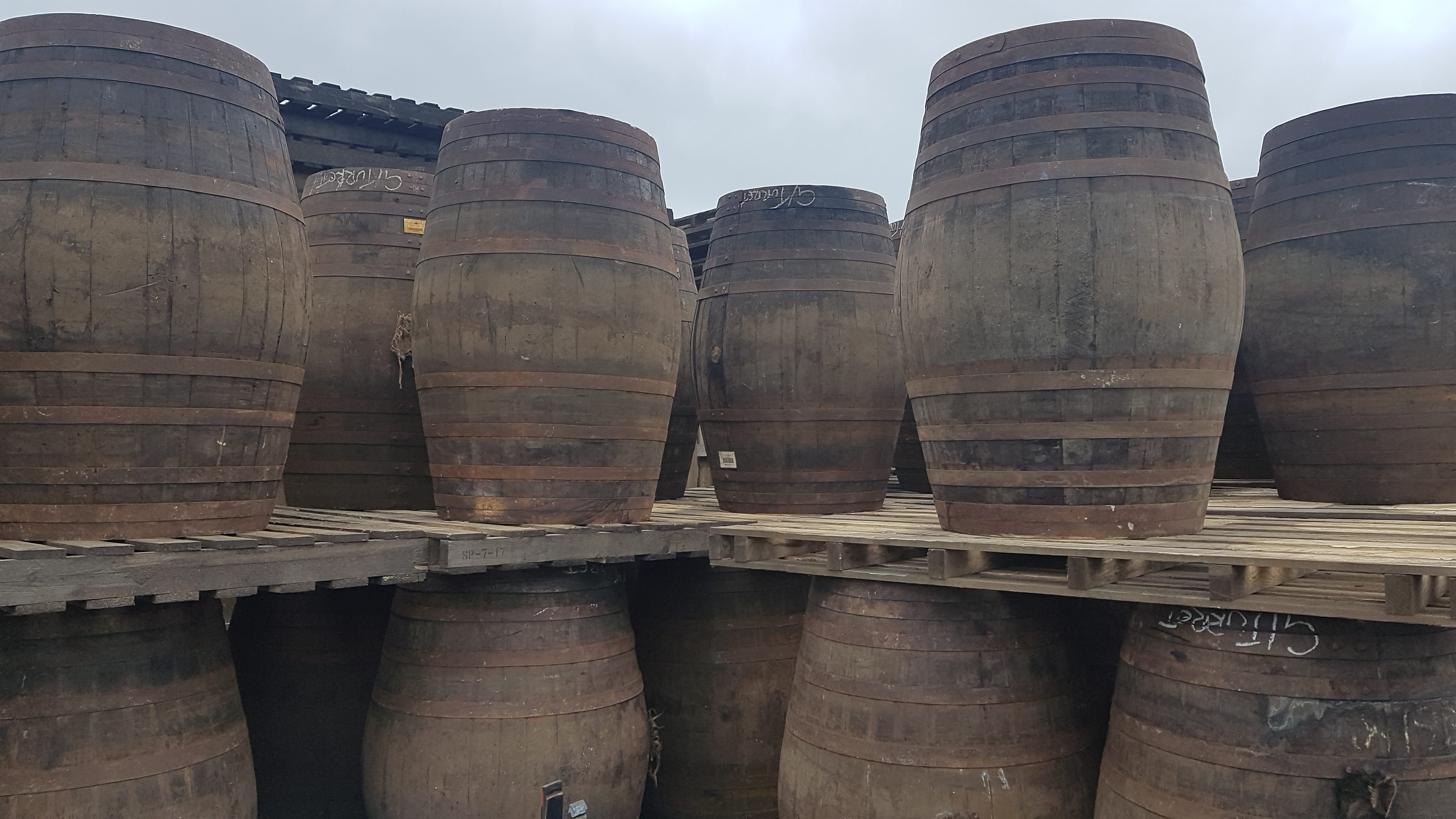 Extra Large Whisky Barrels